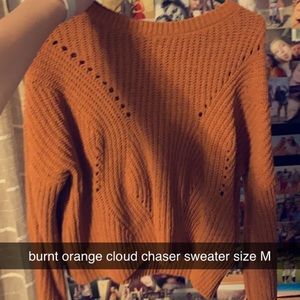 sweater by cloud chaser!